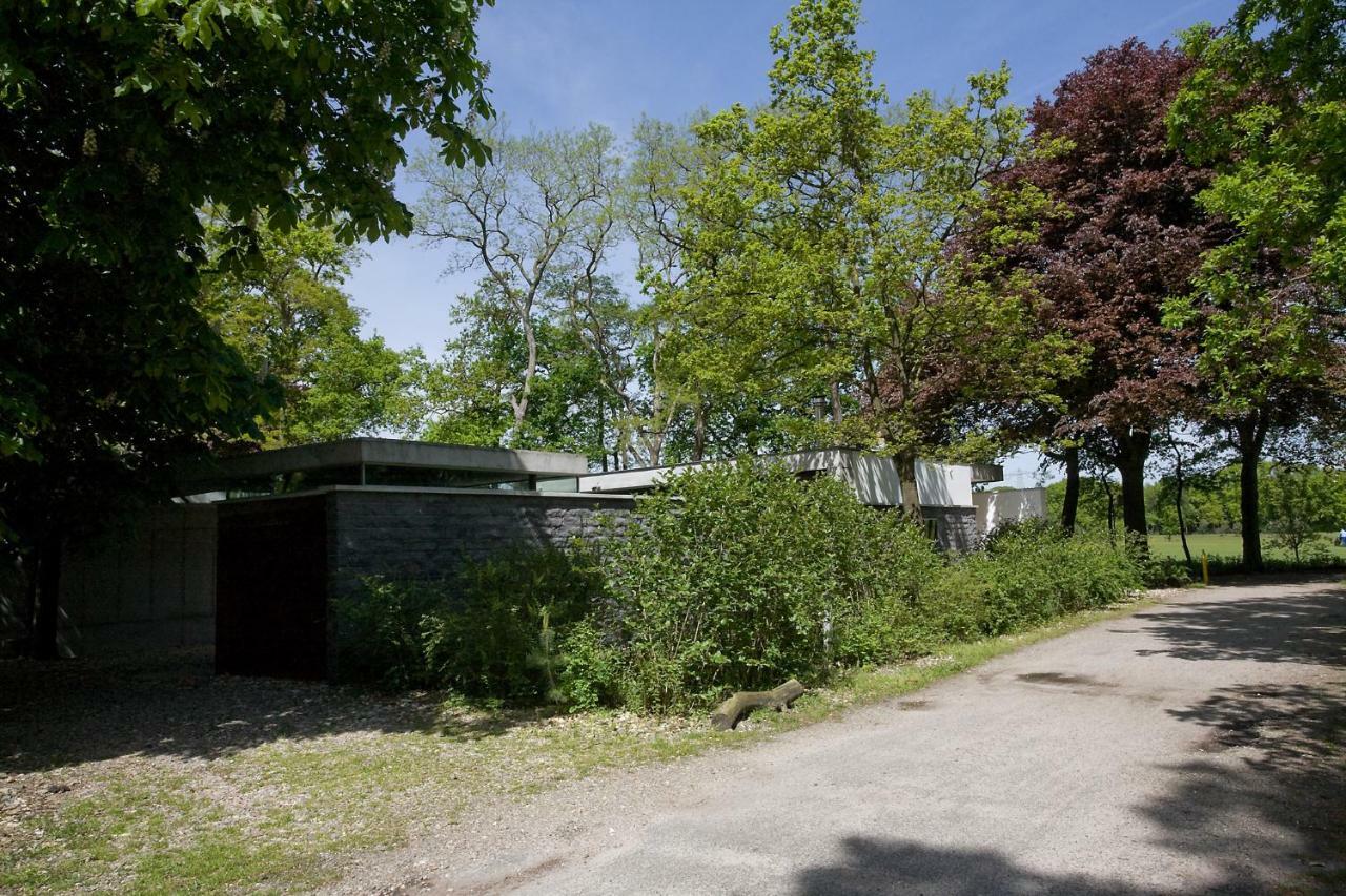 Betonnen Boshuis Oosterhout  Kültér fotó